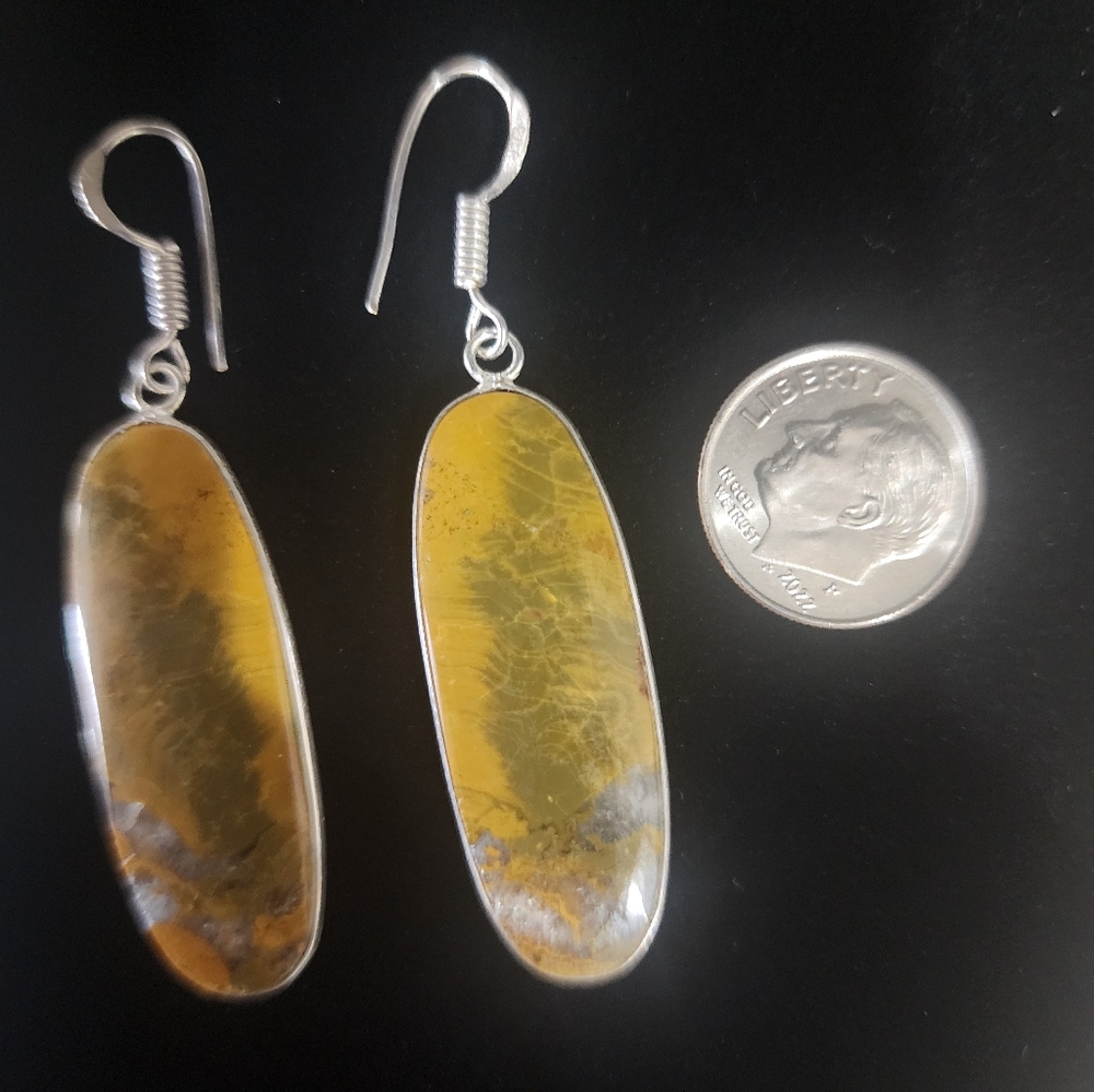 Bumblebee Jasper Earrings ♥️